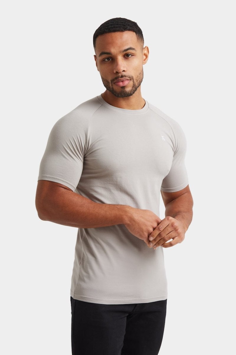 Premium Athletic Fit T-Shirt in Concrete Grey