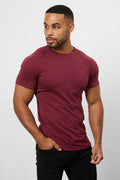 Premium Athletic Fit T-shirt In Burgundy